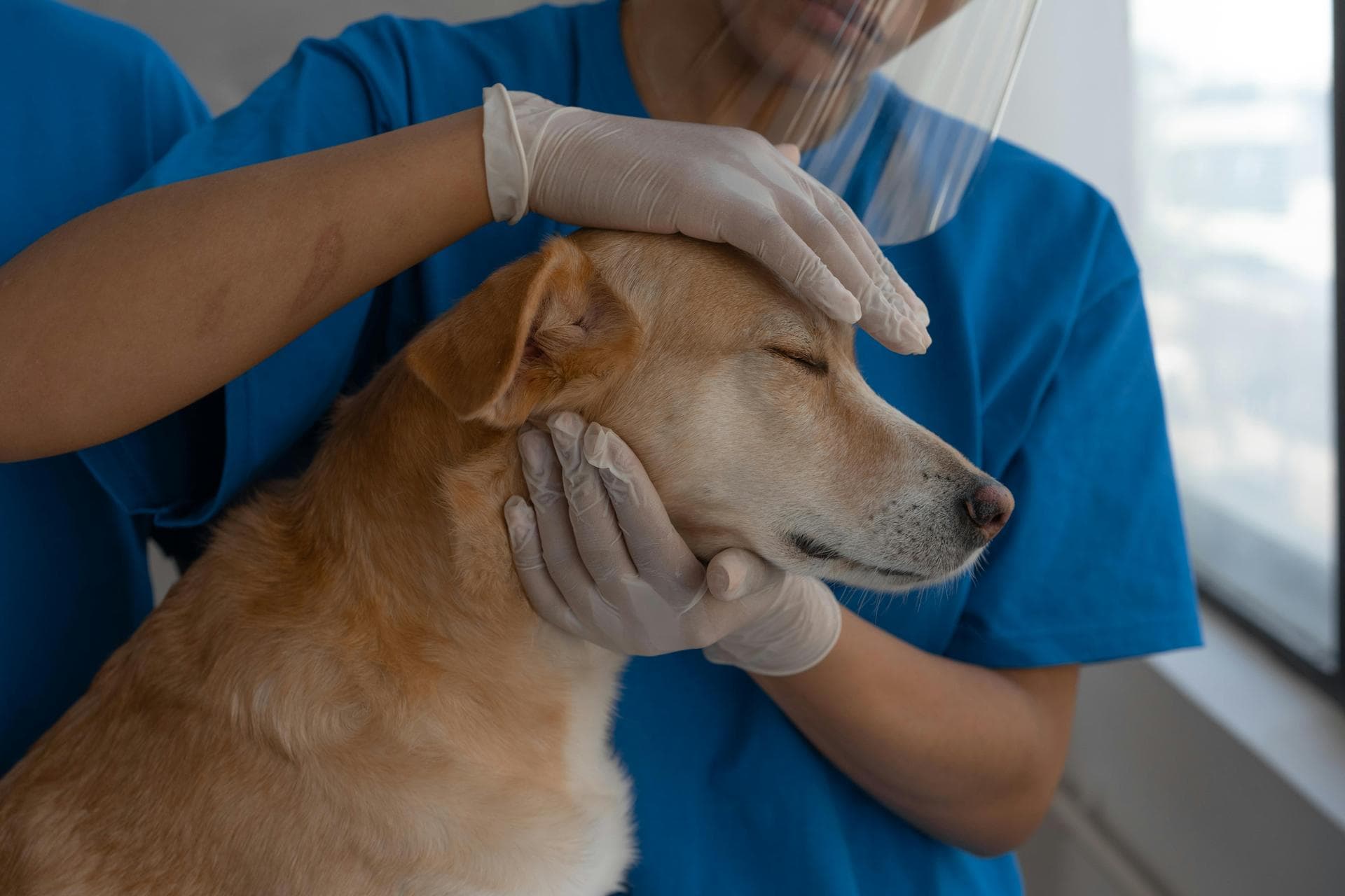 Farm & Large-Animal Vets near Baton Rouge